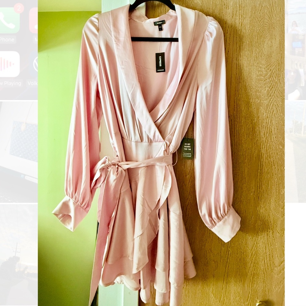 Express Elegant Long Sleeve Pink Dress